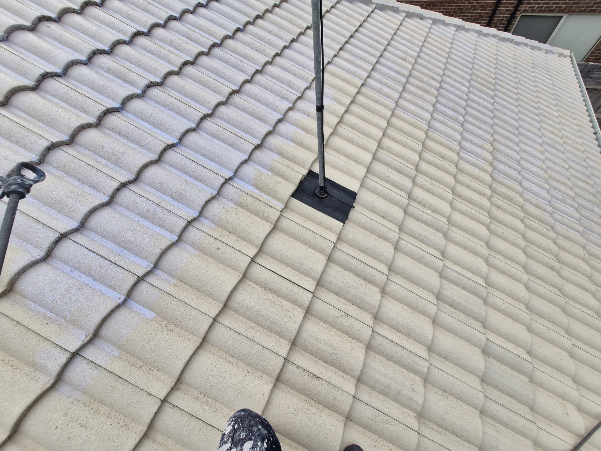 Roof Painting & Restoration